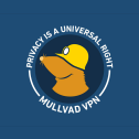 Mullvad VPN Review 2026