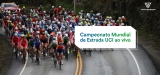 O Campeonato Mundial de Estrada UCI ao vivo 2023