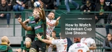 How to Watch Heineken Cup Live Stream From Anywhere in 2024