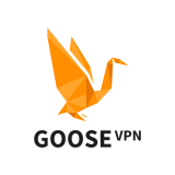 Goose VPN Review 2023