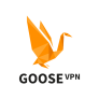 Goose VPN Review 2022