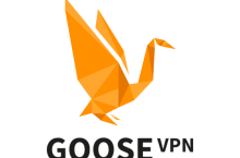 Goose VPN Review 2024