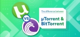 What’s the Difference Between uTorrent and BitTorrent?