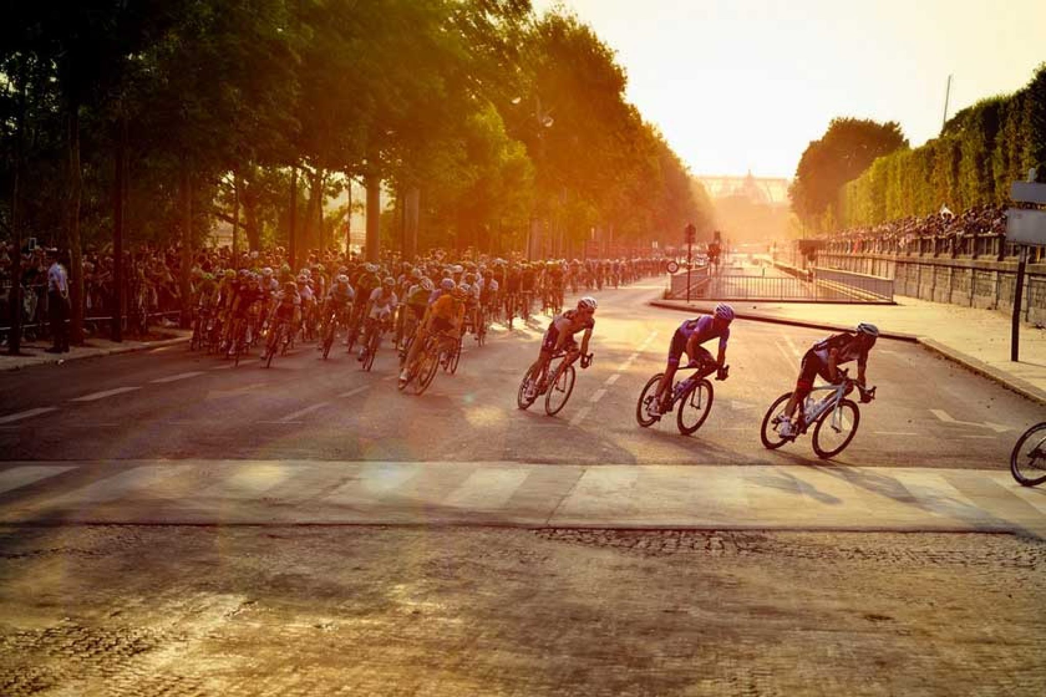 Regarder le Tour de France en direct gratuit 2024